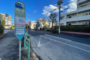 その他　東急バス「向天神橋」停が徒歩1分の位置にあり三軒茶屋駅・渋谷駅方面へのアクセスに便利です