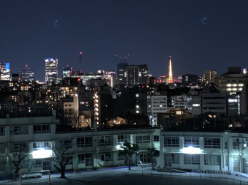 その他　眺望（夜景）／夜には東京タワーや六本木ヒルズを望む夜景をお楽しみいただけます