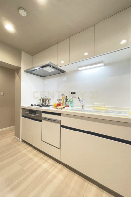 キッチン　システムキッチン／新規交換済、LIXIL製食洗機・浄水器内蔵水栓付、廊下からも出入りできる２WAYキッチンです。