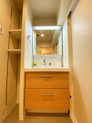洗面台・洗面所　洗面化粧台／三面鏡付きで下部収納あり、隣には可動式棚もあるので嵩張る小物もすっきり収納出来ます。