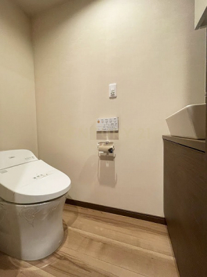 トイレ　お手入れ便利なタンクレストイレ、普段だけでなく来客時にも便利な手洗いカウンター付きです