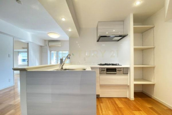 キッチン　システムキッチン／ダウンライトが設置されており明るいキッチンです。可動式棚も設置されているので便利です。