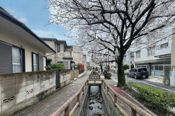 その他　周辺環境（現地より約160m）