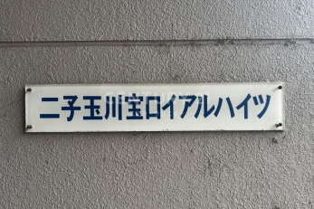 ̑p@ٖ